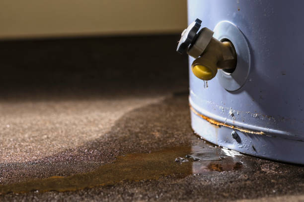 Best Local water damage restoration  in Winfield, IA