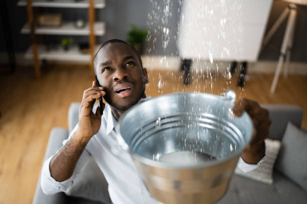 Best Water damage restoration experts  in Winfield, IA