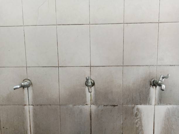 Best Commercial water damage restoration  in Winfield, IA